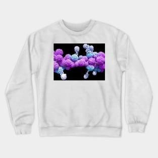 T cells attacking cancer cells (C025/6875) Crewneck Sweatshirt